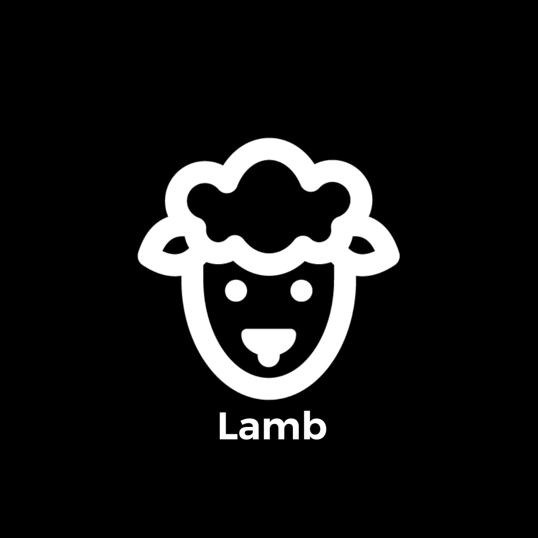 
    Lamb
  