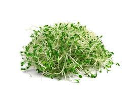 Sprouts Alfalfa (Order before 8:00am)