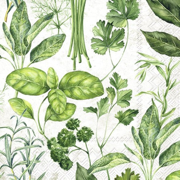 Variety of Herbs Luncheon Napkin