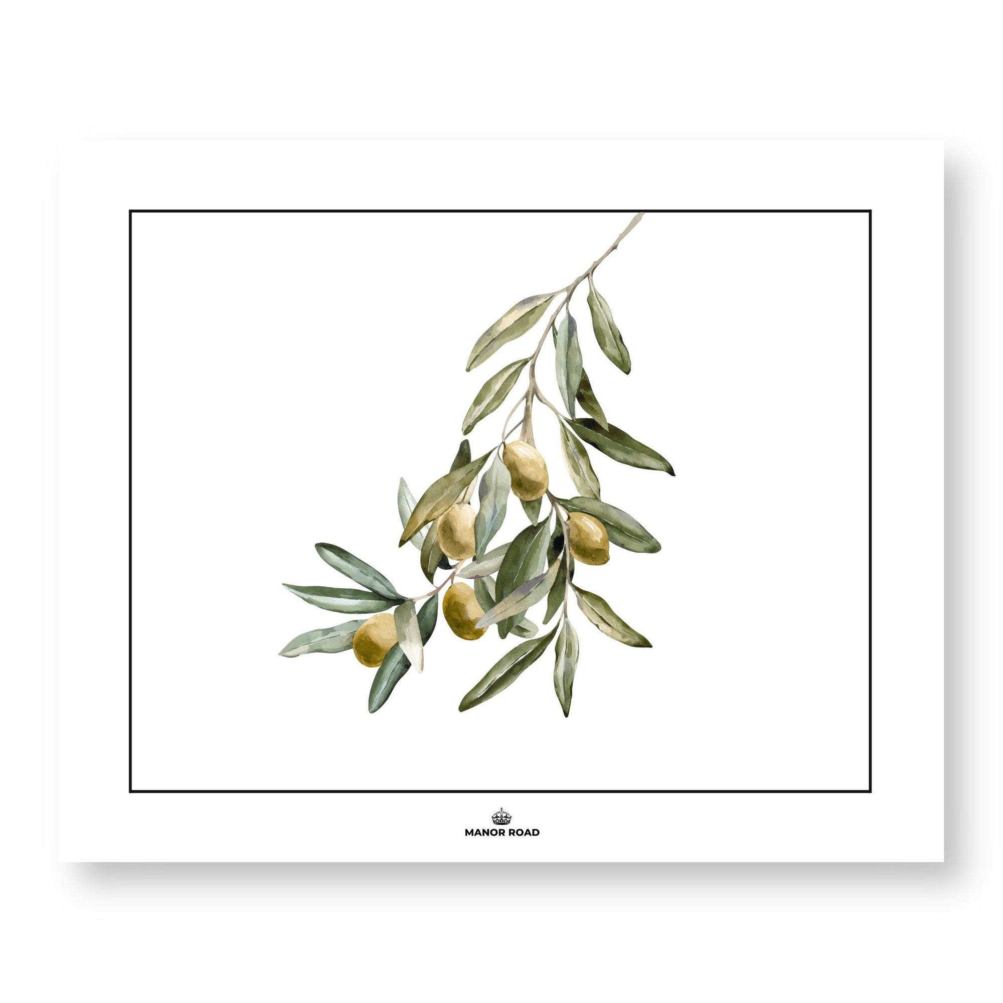 Manor Road Wild Olives Paper Placemat 30 Sheets