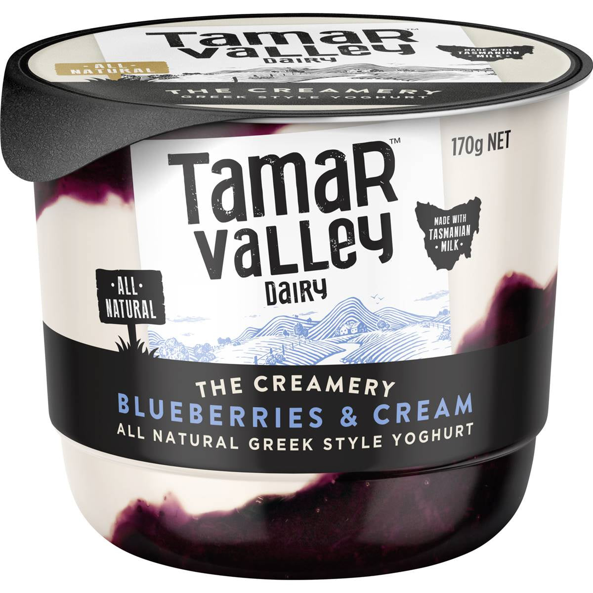 Tamar Valley Greek Style Yoghurt Blueberries & Cream 170g