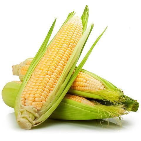 Corn Cobs