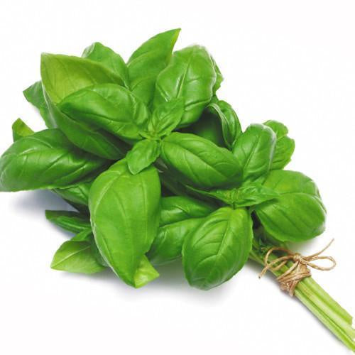 Herbs - Basil $/bunch( order before 8.00am)