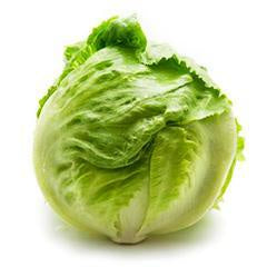 Lettuce Iceberg