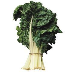 Silverbeet Bunch $/each (order before 8:00am)