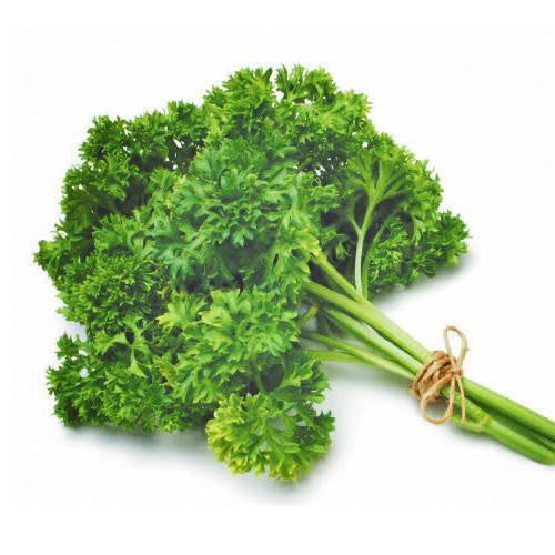 Herbs - Curly Leaf Parsley $/bunch (order before 8.00am)