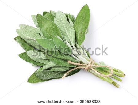 Herbs Sage $/bunch (order before 8.00am)