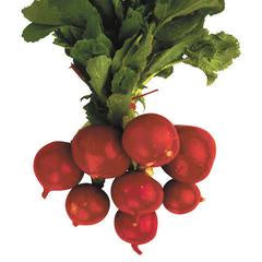 Radishes $/bunch (order before 8.00am)