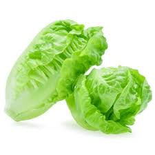 Lettuce Baby Cos (order before 8.00am)