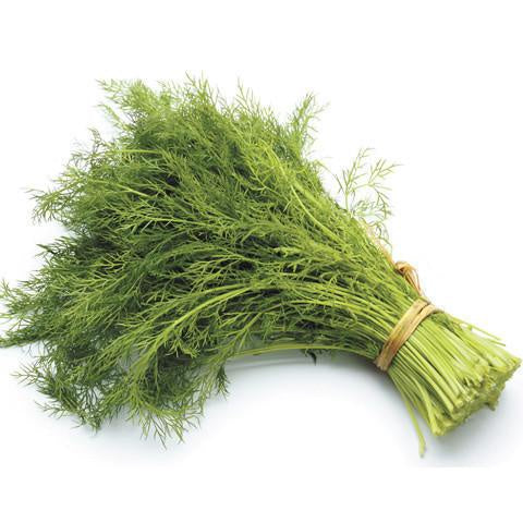 Herbs Dill $/bunch (order before 8.00am)