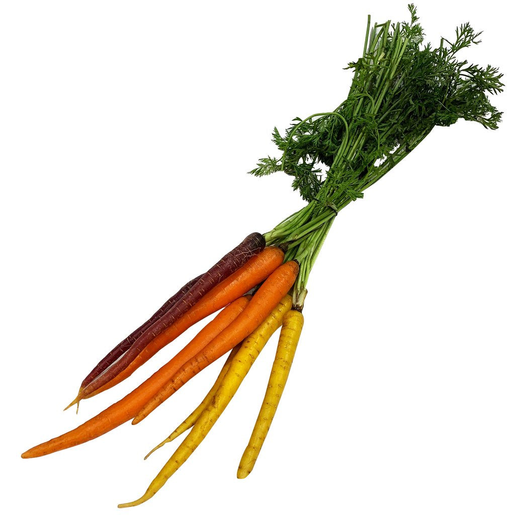 Carrots - Coloured Dutch (BUNCH) ( order day before)